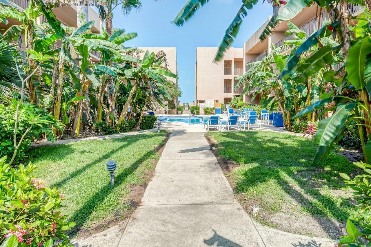 Апартаменти Palm Tree Escape Саут-Падре-Айленд Екстер'єр фото
